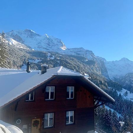 Chalet Aargovia Wengen Exteriér fotografie