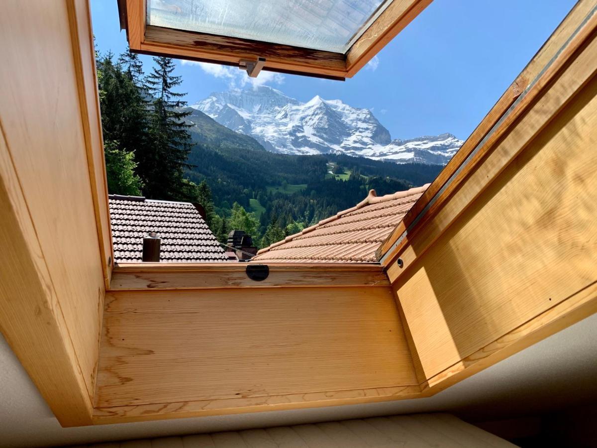 Chalet Aargovia Wengen Exteriér fotografie