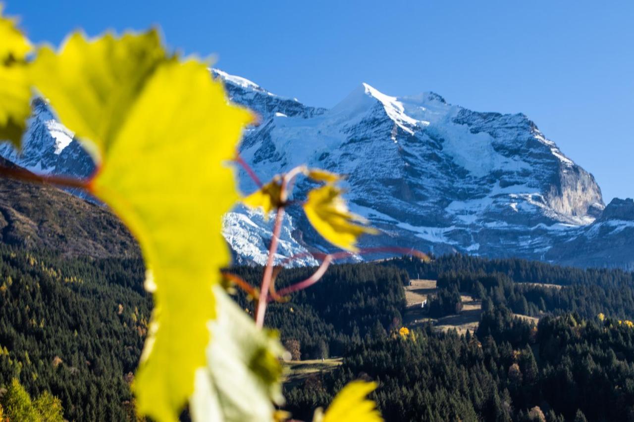 Chalet Aargovia Wengen Exteriér fotografie