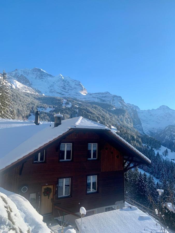 Chalet Aargovia Wengen Exteriér fotografie